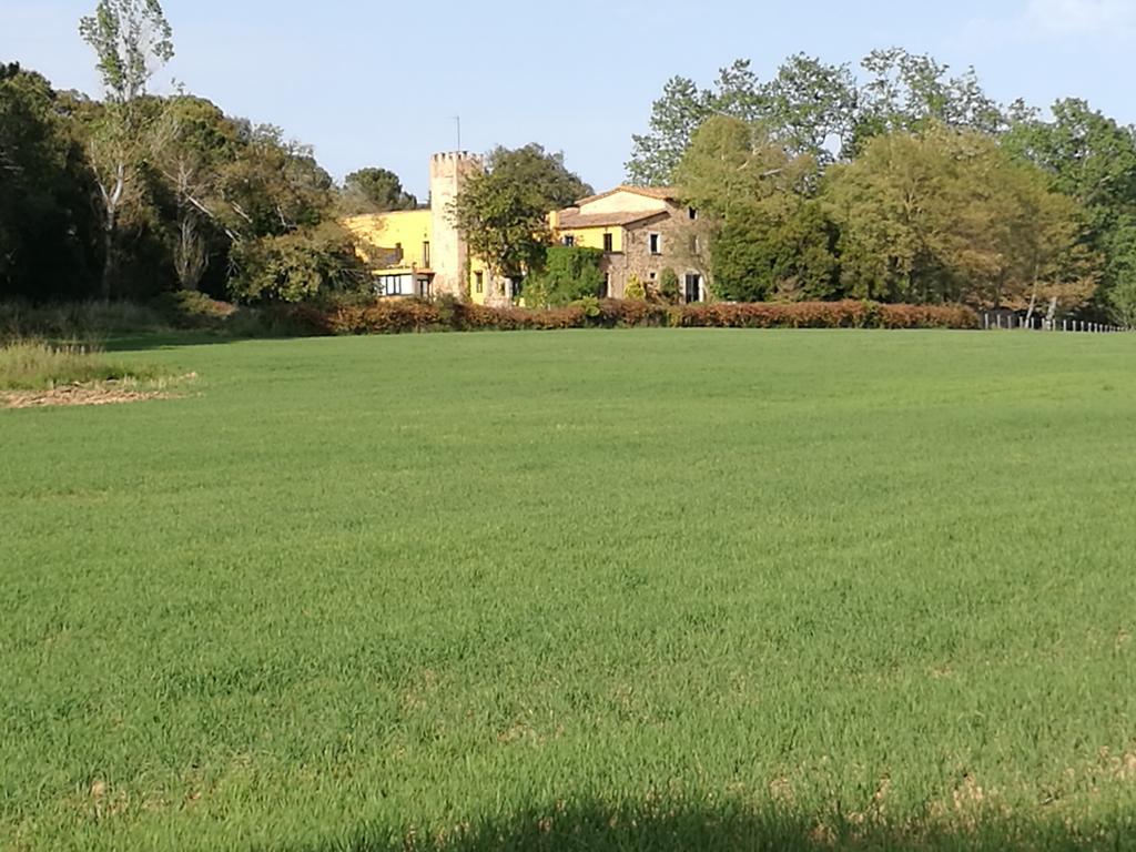 Mas Vilalonga Petit Cassa De La Selva Bagian luar foto