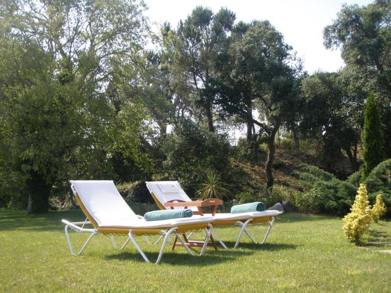 Mas Vilalonga Petit Cassa De La Selva Bagian luar foto