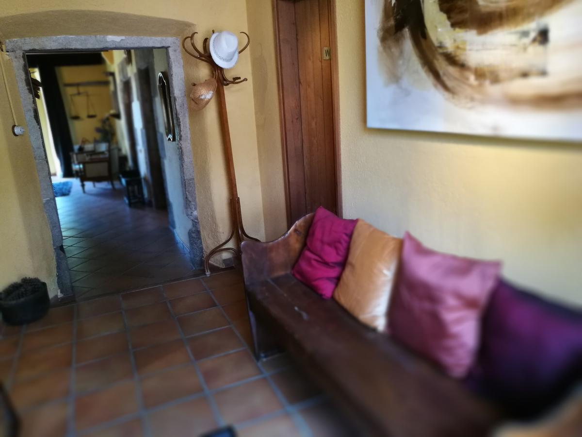 Mas Vilalonga Petit Cassa De La Selva Bagian luar foto