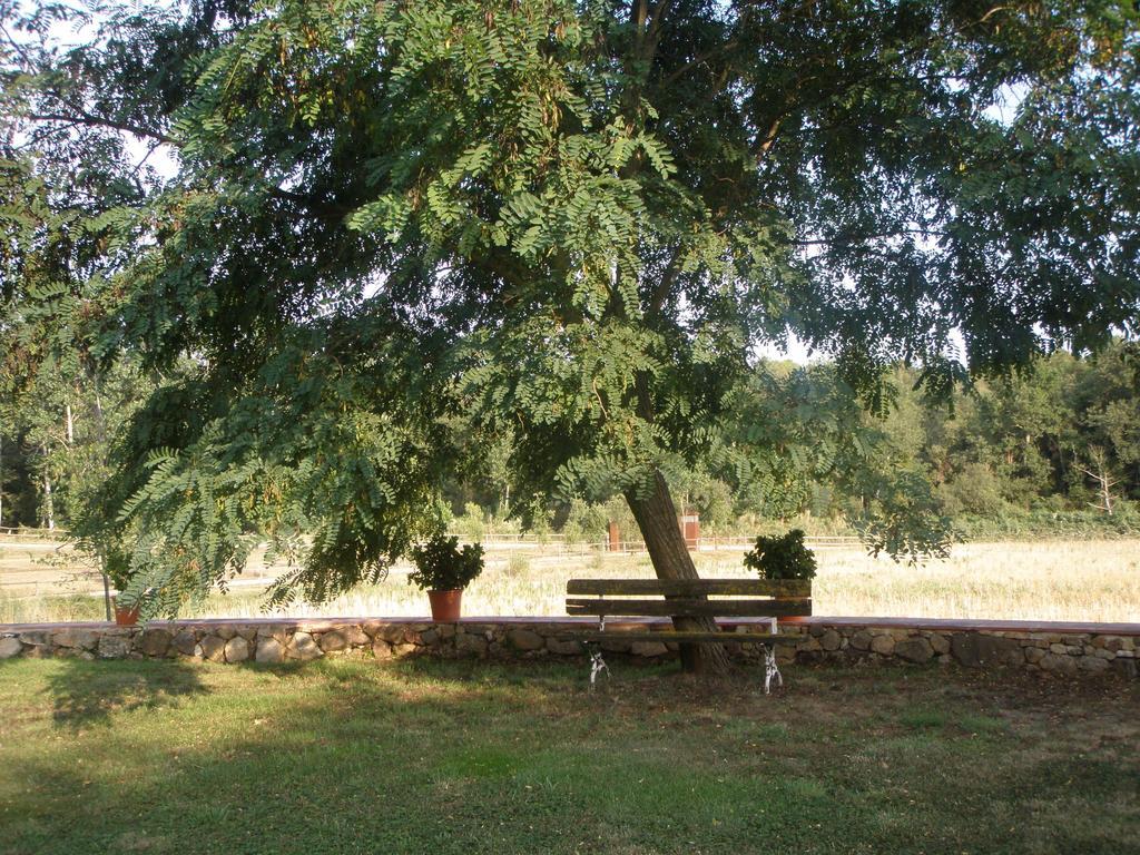 Mas Vilalonga Petit Cassa De La Selva Bagian luar foto